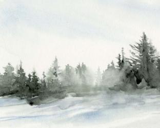 Evergreens in the Distance I | Obraz na stenu