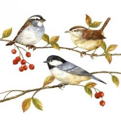 Birds & Berries I | Obraz na stenu
