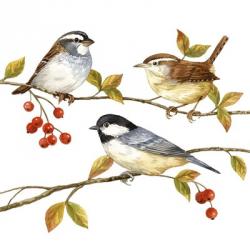 Birds & Berries I | Obraz na stenu