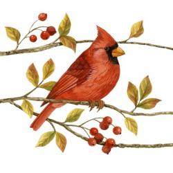 Birds & Berries III | Obraz na stenu