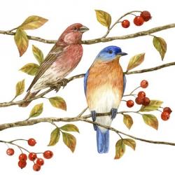 Birds & Berries IV | Obraz na stenu