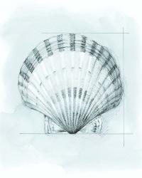 Coastal Shell Schematic III | Obraz na stenu