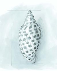 Coastal Shell Schematic IV | Obraz na stenu