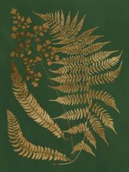 Gilded Ferns I | Obraz na stenu