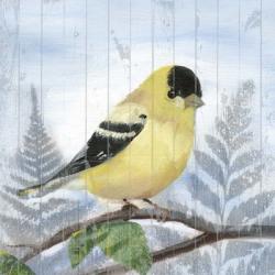 Eastern Songbird III | Obraz na stenu