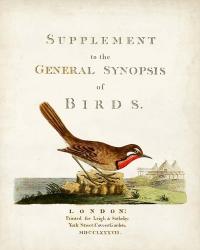 General Synopsis of Birds | Obraz na stenu