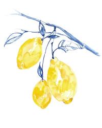 Watercolor Lemons II | Obraz na stenu