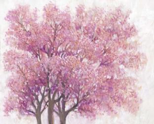 Pink Cherry Blossom Tree I | Obraz na stenu