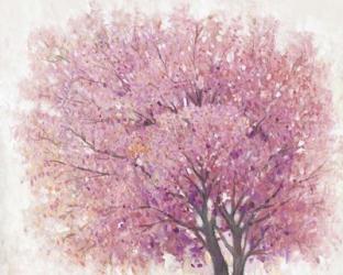 Pink Cherry Blossom Tree II | Obraz na stenu