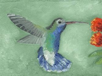 Fresco Hummingbird I | Obraz na stenu