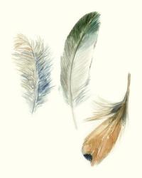 Watercolor Feathers II | Obraz na stenu
