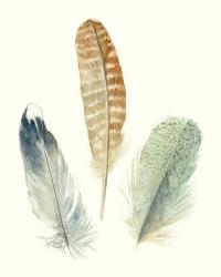 Watercolor Feathers IV | Obraz na stenu