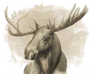 Bull Moose II | Obraz na stenu