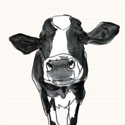 Cow Contour III | Obraz na stenu