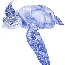 Ultramarine Sea Turtle I | Obraz na stenu
