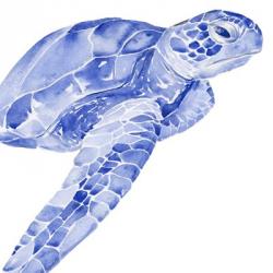 Ultramarine Sea Turtle II | Obraz na stenu