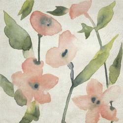 Blush Pink Blooms I | Obraz na stenu