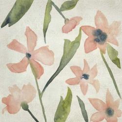 Blush Pink Blooms IV | Obraz na stenu