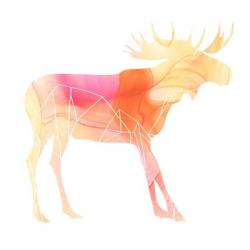 Agate Animal VI | Obraz na stenu