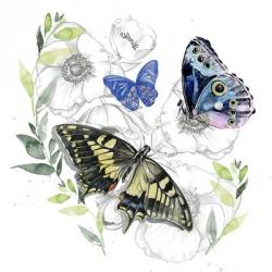 Butterfly Floral I | Obraz na stenu