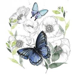Butterfly Floral II | Obraz na stenu