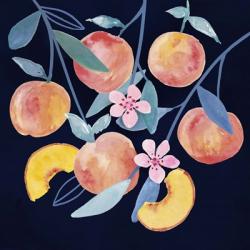 Fresh Fruit IV | Obraz na stenu