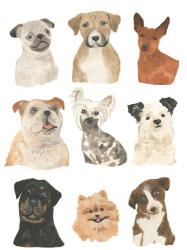Doggos & Puppers I | Obraz na stenu