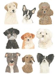Doggos & Puppers II | Obraz na stenu