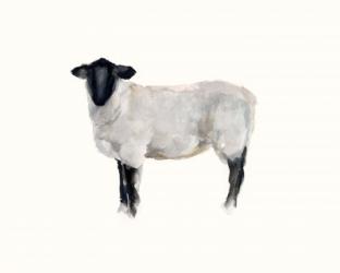 Farm Animal Study I | Obraz na stenu