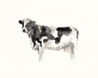 Farm Animal Study III | Obraz na stenu