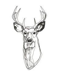 Whitetail Wireframe II | Obraz na stenu