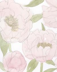 Veiled Peonies I | Obraz na stenu