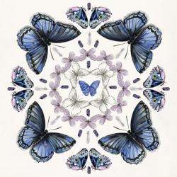 Butterfly Mandala II | Obraz na stenu