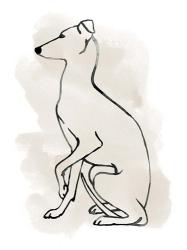 Greyhound Sketch II | Obraz na stenu