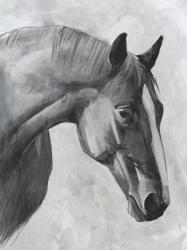 Cavallo I | Obraz na stenu