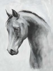 Cavallo II | Obraz na stenu