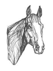 Equine Contour I | Obraz na stenu