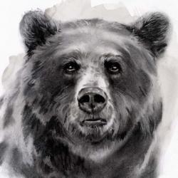 Bear Grin II | Obraz na stenu