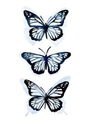 Blue Butterfly Trio I | Obraz na stenu