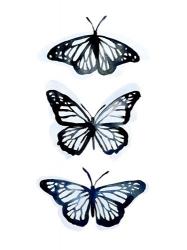 Blue Butterfly Trio II | Obraz na stenu