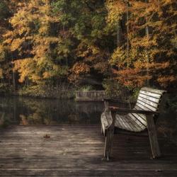 Autumn Rest | Obraz na stenu