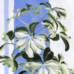 Indoor Plant II | Obraz na stenu