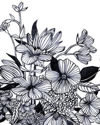 Wildflower Tangle I | Obraz na stenu