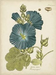 Eloquent Botanical IV | Obraz na stenu