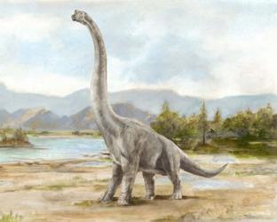 Dinosaur Illustration IV | Obraz na stenu
