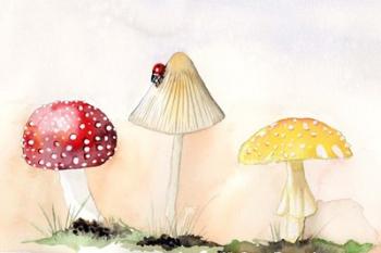 Faerie Mushrooms I | Obraz na stenu