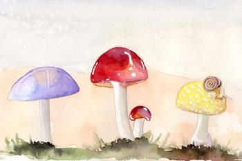 Faerie Mushrooms II | Obraz na stenu