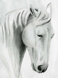 Horse Whisper II | Obraz na stenu