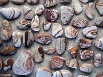 Gifts of the Earth I | Obraz na stenu
