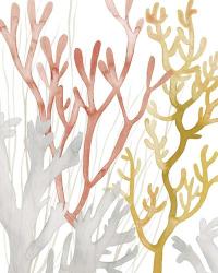 Desert Coral I | Obraz na stenu
